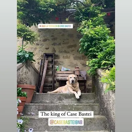 La Terrazza Di Case Bastei Bed & Breakfast Ventimiglia